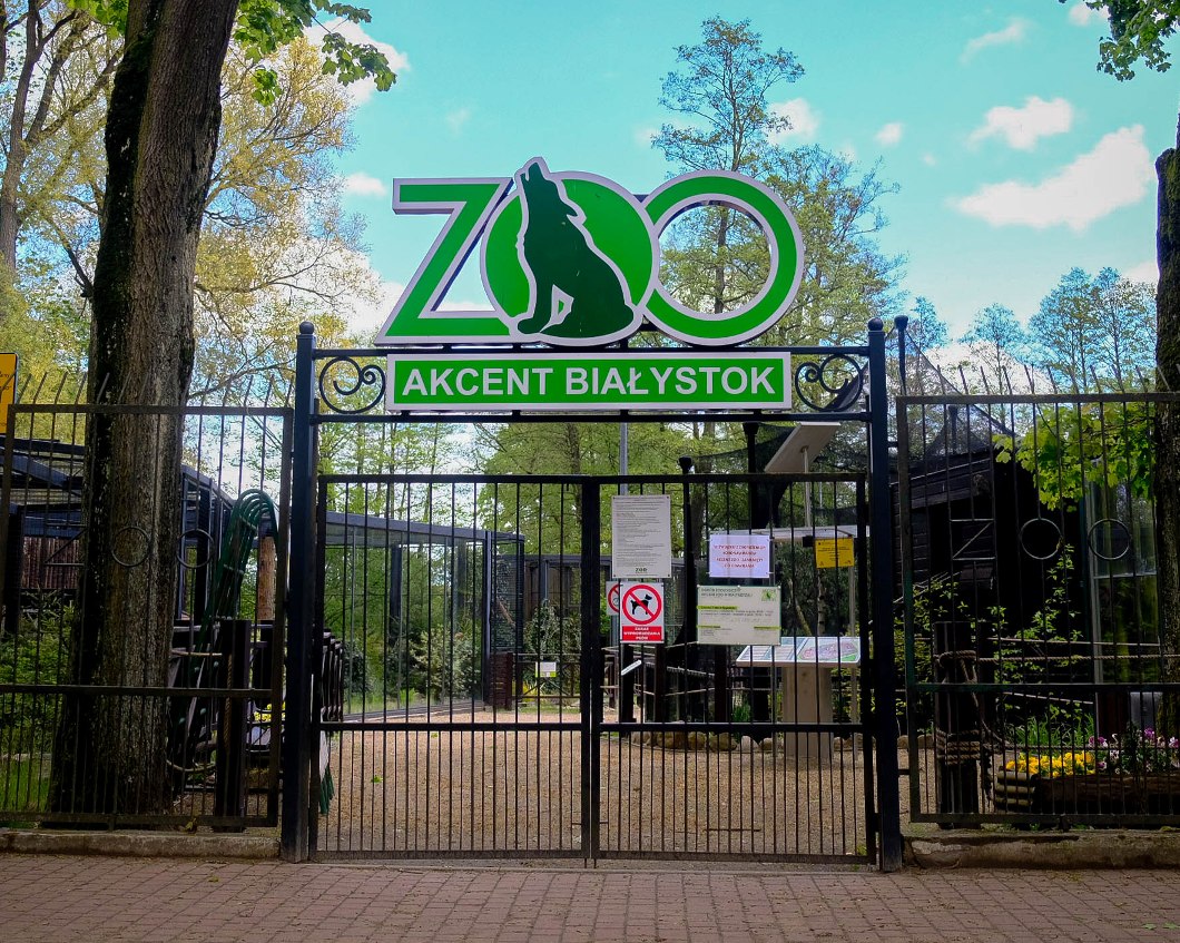 akcent zoo